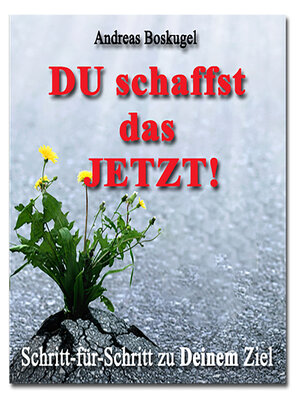 cover image of DU schaffst das JETZT!